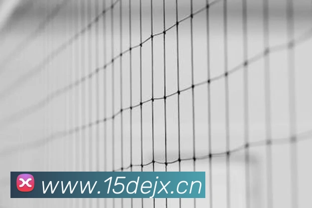 StarSky Sports平台生态图